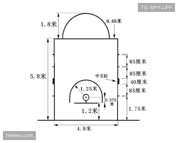 深度解析罚球规则NBA与FIBA区别的核心细节